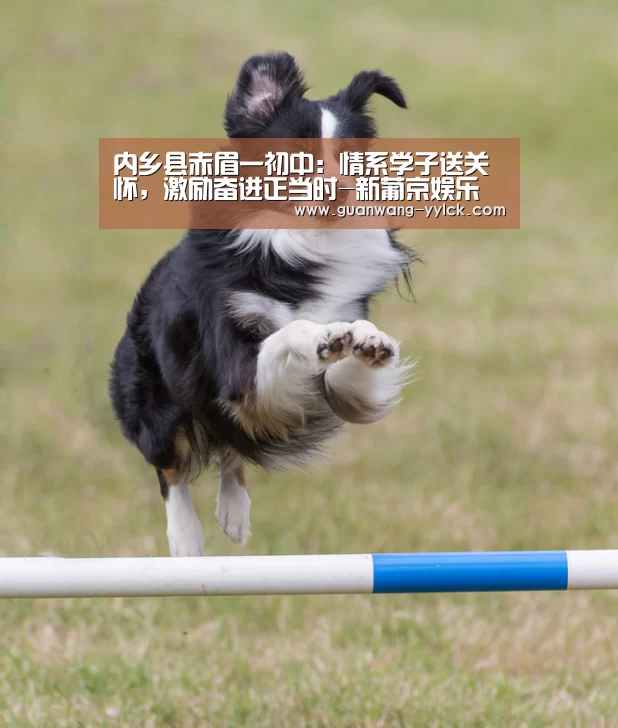 新葡京娱乐官网