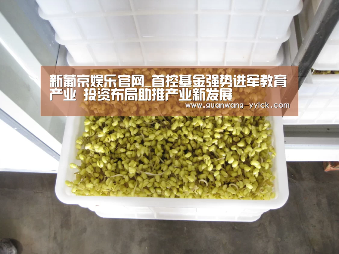 新葡京娱乐官网