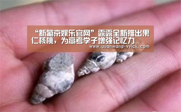 新葡京娱乐官网